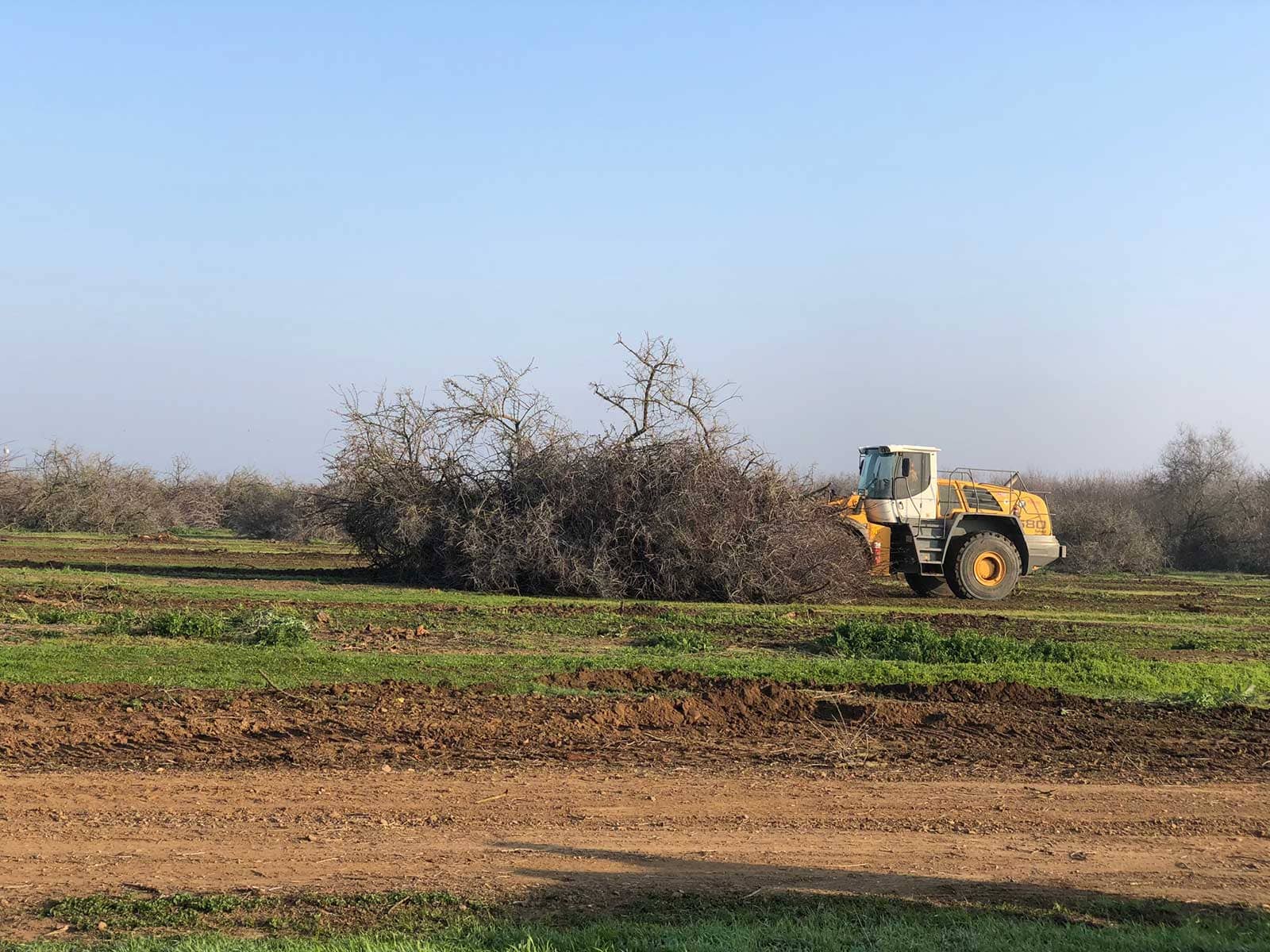 Flores equipment clearing vegetation and material from a project site