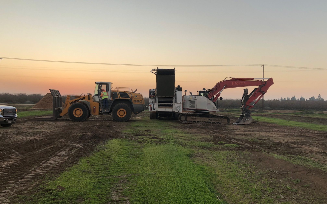 Factors That Impact How Much It Costs to Clear Land in 2025?