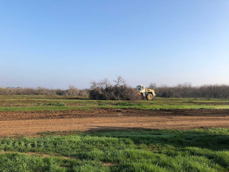 Professional Land Clearing for Commercial Property Development | Working, Types & Benefits